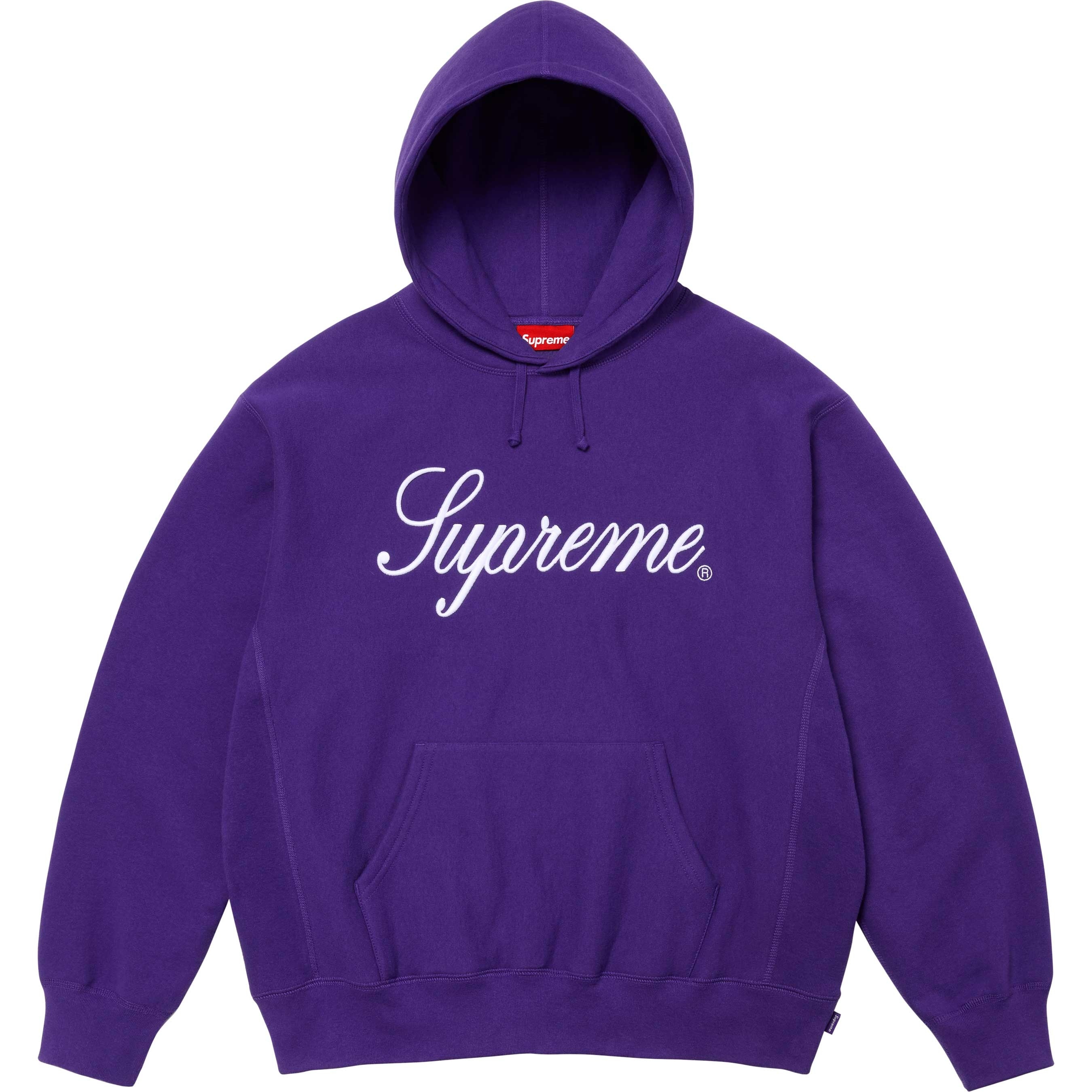 Embroidered Script Hooded Sweatshirt view 10
